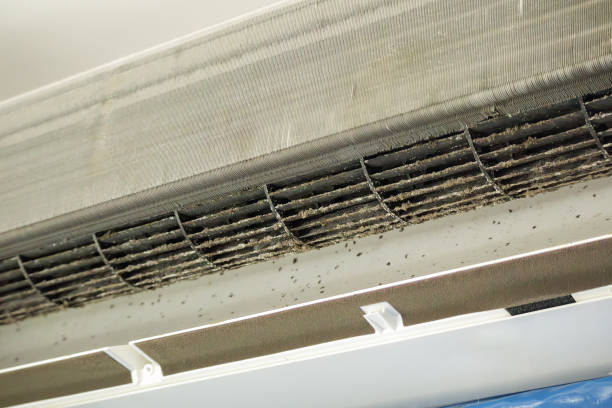 Best Air Duct Cleaning Near Me in Pittsfield, MA